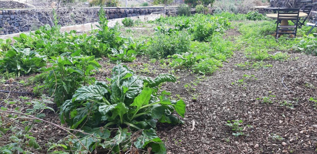 Casa Rural Finca Las Dulces Chío エクステリア 写真