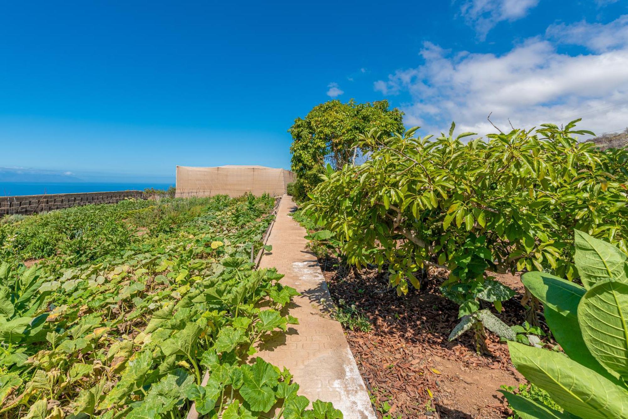Casa Rural Finca Las Dulces Chío エクステリア 写真